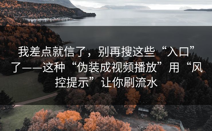 我差点就信了，别再搜这些“入口”了——这种“伪装成视频播放”用“风控提示”让你刷流水