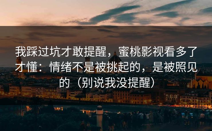 我踩过坑才敢提醒，蜜桃影视看多了才懂：情绪不是被挑起的，是被照见的（别说我没提醒）
