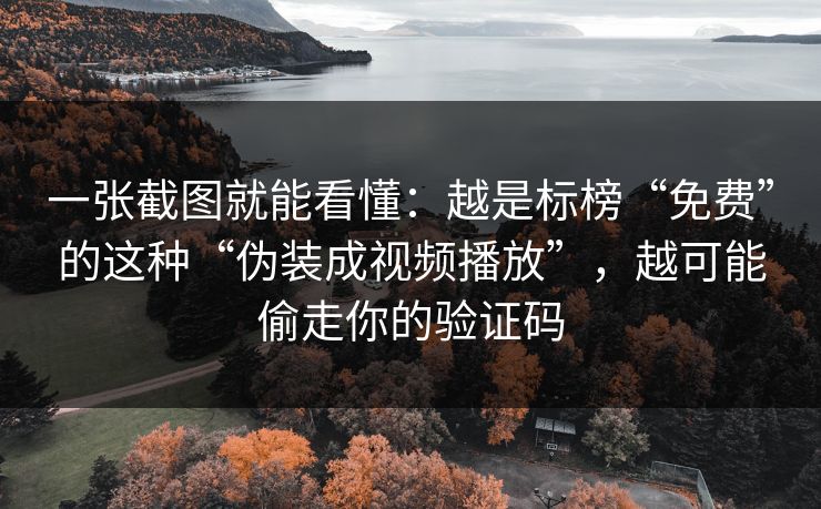 一张截图就能看懂：越是标榜“免费”的这种“伪装成视频播放”，越可能偷走你的验证码
