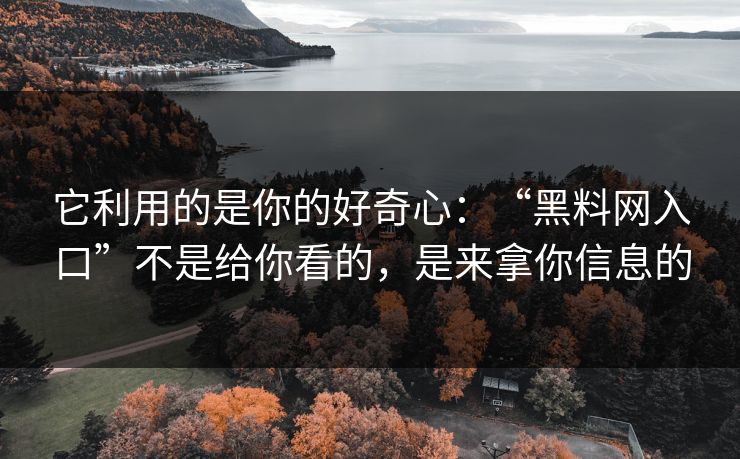 它利用的是你的好奇心：“黑料网入口”不是给你看的，是来拿你信息的