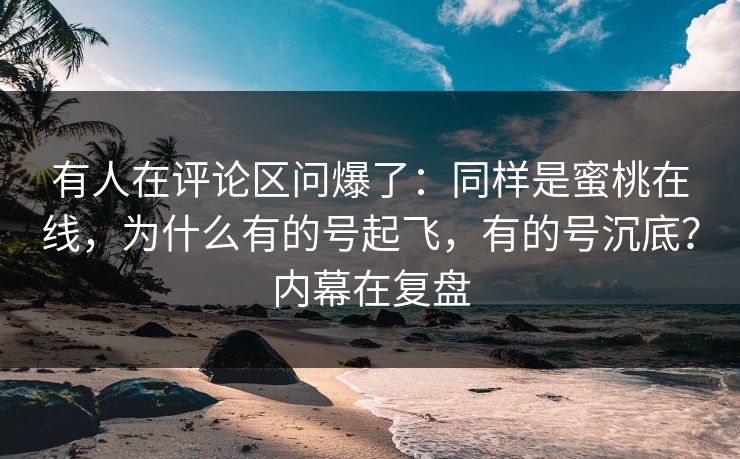 有人在评论区问爆了：同样是蜜桃在线，为什么有的号起飞，有的号沉底？内幕在复盘