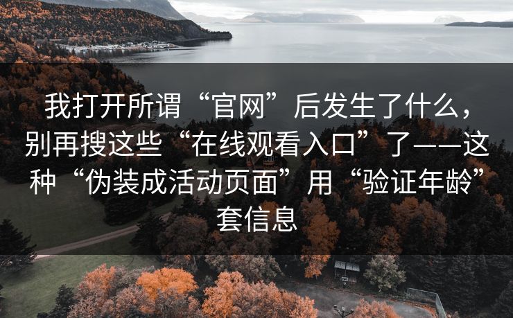 我打开所谓“官网”后发生了什么，别再搜这些“在线观看入口”了——这种“伪装成活动页面”用“验证年龄”套信息