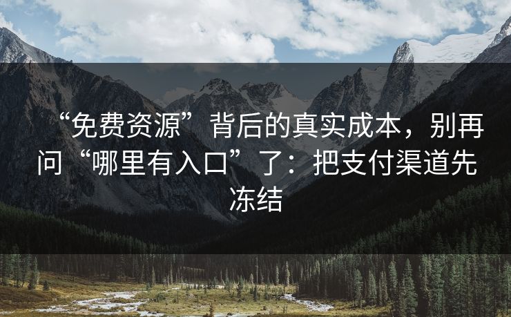 “免费资源”背后的真实成本，别再问“哪里有入口”了：把支付渠道先冻结