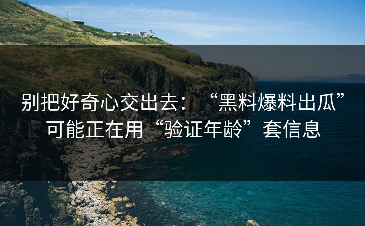 别把好奇心交出去：“黑料爆料出瓜”可能正在用“验证年龄”套信息